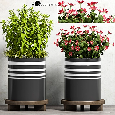 Modern Planter Set - Max Compatibility 3D model image 1 