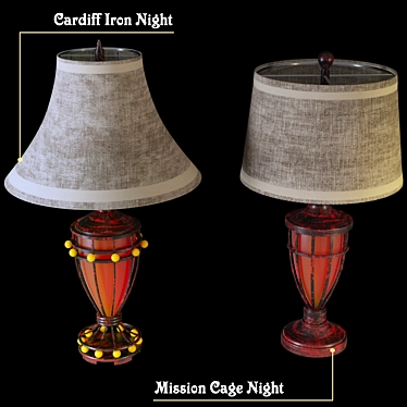 Elegant Iron Cage Table Lamp 3D model image 1 