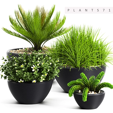 Elegant Plants Collection: 71 Varieties 3D model image 1 