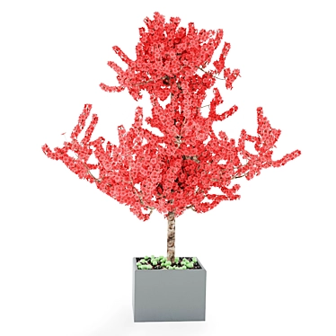 Miniature Bonsai Tree 3D model image 1 
