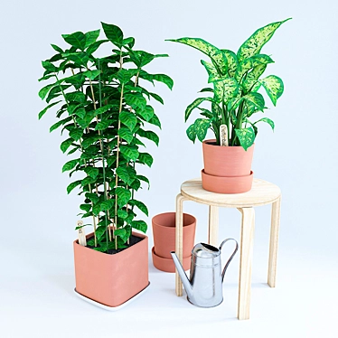 Ikea Coffee Dieffenbachia:
Frost Stool + Soccer Watering Can 3D model image 1 