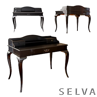 Stylish Selva Desk Art 3D model image 1 