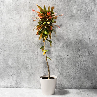 Lush and Vibrant Croton Plant 3D model image 1 