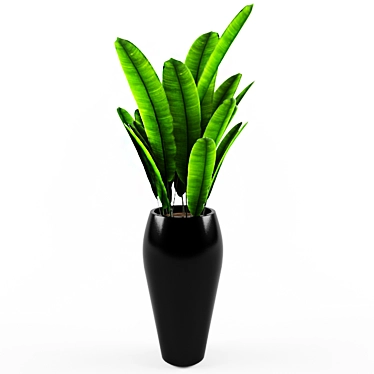 Tropical Vibes: Indoor Banana Tree! 3D model image 1 