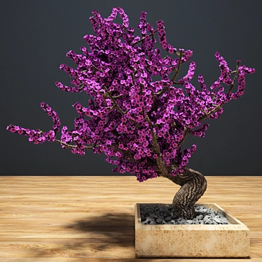 Botanical Bliss: Bonsai Delight 3D model image 1 