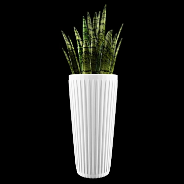 Large Sansevieria Floor Plant 3D model image 1 