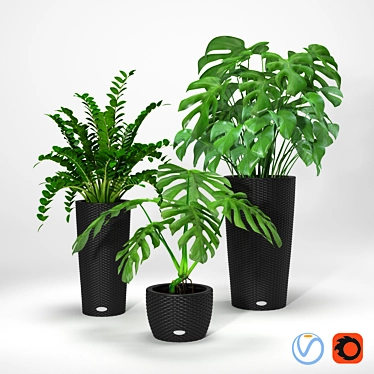 Title: Tropical Oasis: Lush Plants in Wicker Pots 3D model image 1 