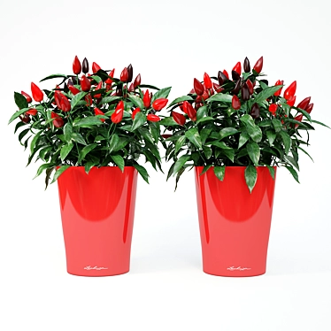 Potted Ornamental Peppers: Lechuza Deltini 3D model image 1 