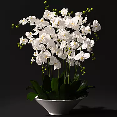 Elegant Orchid Bouquet 3D model image 1 