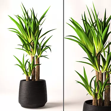 Lifelike Yucca Plant Model 3D model image 1 