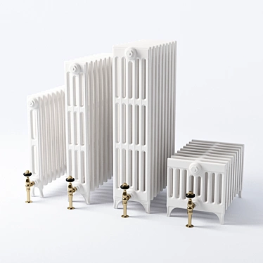 Carron Victorian Radiator 3D model image 1 