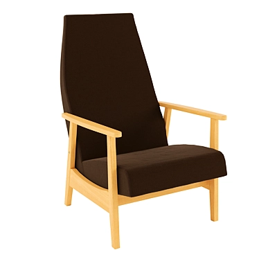 Modern Wood Lounge Chair 3D model image 1 