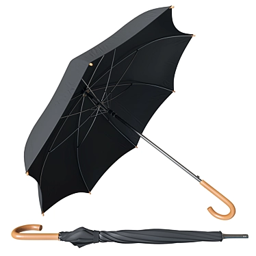 Sleek Black Umbrella 3D model image 1 