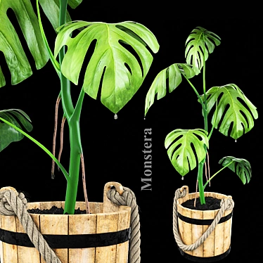 Wooden Tub Monstera: Blend Excluded 3D model image 1 