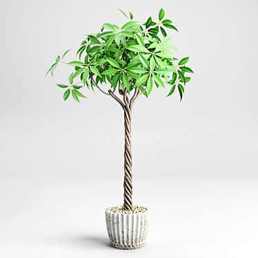 3D Plant Design: Maximize Visual Impact 3D model image 1 