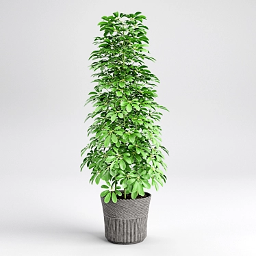 3D Plant Model: Realistic Greenery 3D model image 1 