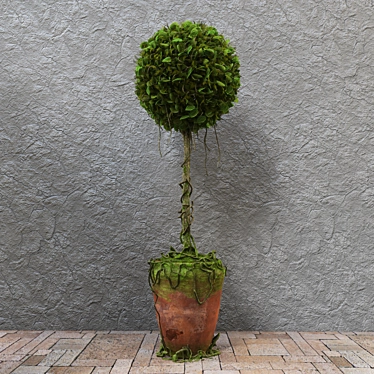 Decorative Potted Tree 3D model image 1 