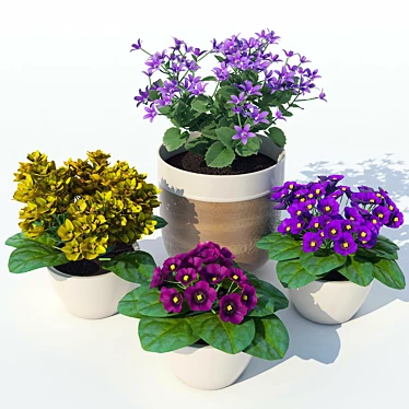 Blooming Beauty: Primrose 3D model image 1 