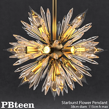 Starburst Flower Pendant - Stylish Ceiling Lighting for PBteen 3D model image 1 