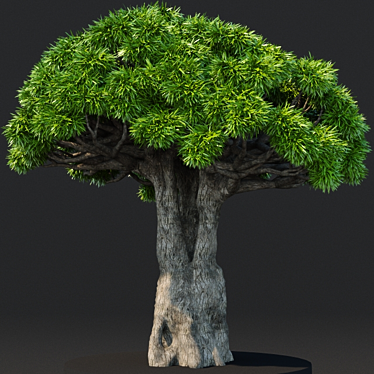 Dragon Tree: Lifelike 3D Model 3D model image 1 