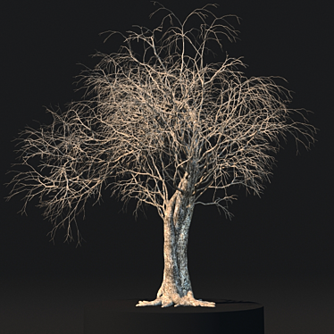 Lifelike Dead Tree Decoration 3D model image 1 