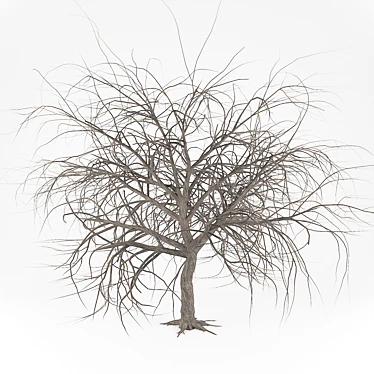 Winter Scene Essential: Bare Tree 3D model image 1 