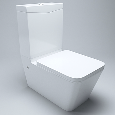 Toilet Bright Grey