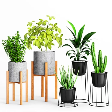 Wooden Leg Planters Set 3D model image 1 