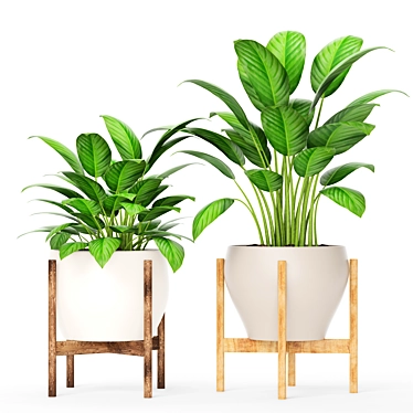 Potted Plant Collection 8 3D model image 1 