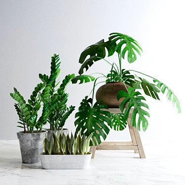 Lush Greenery Bundle: Plant Set 3D model image 1 