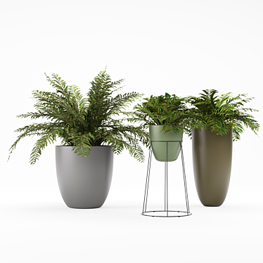 Lush Foliage Ferns 3D model image 1 