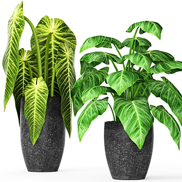 Greenery in Pots Collection 3D model image 1 