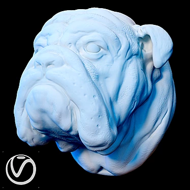 English Bulldog Plaster Head 3D model image 1 