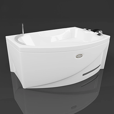 Relaxing Hydro Massage Bath 3D model image 1 