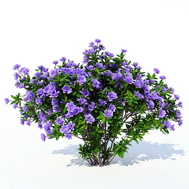 Blooming Beauty: Azalea 003 3D model image 1 