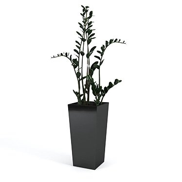 Zamioculcas Home: Ideal Greenery for Your Windowsill! 3D model image 1 