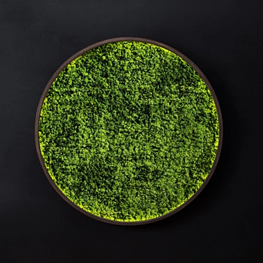 Stabilized Moss Wall Art 3D model image 1 