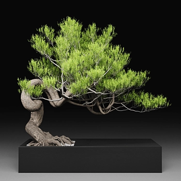 Pine Tree Decor: 1070mm Height 3D model image 1 