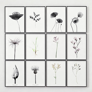 Botanical Bliss: Plant Posters (40x60 cm) 3D model image 1 