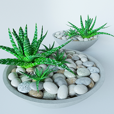 Stone-Embellished Succulents 3D model image 1 