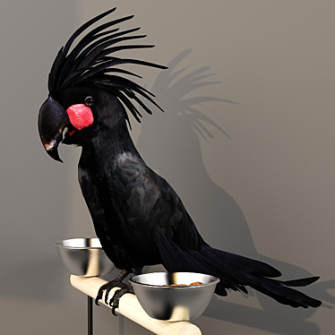 Title: Exotic Black Cockatoo: A Rare Pet with Unique Charms 3D model image 1 