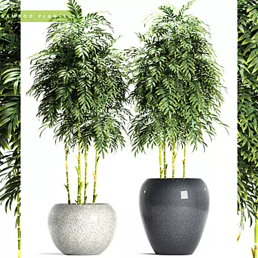 Natural Bamboo Plants: Breath of Fresh Air 3D model image 1 