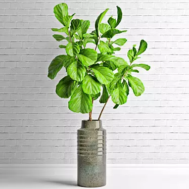 Elegant Ficus Lyrata: Lifelike Decor 3D model image 1 