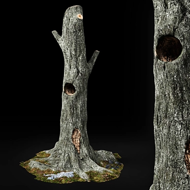 Haunted Chestnut: Lifelike Dead Tree 3D model image 1 