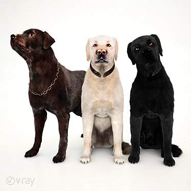 Furry Labs: Detailed Fur Setup 3D model image 1 