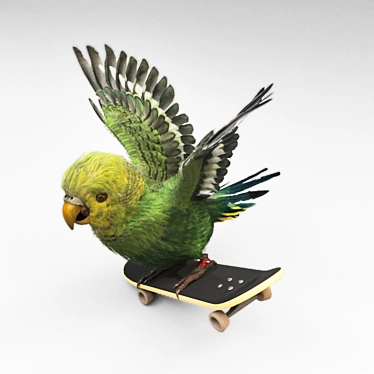 Geometric Skateboarding Parrot 3D model image 1 