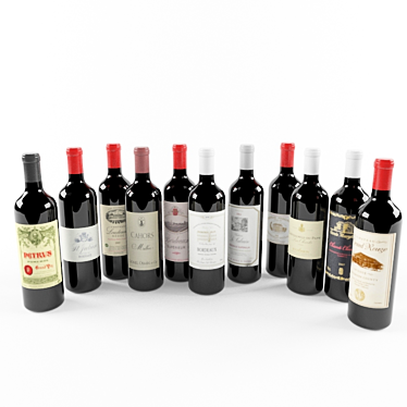 Bordeaux Wine Bottle Set 3D model image 1 