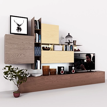 Versatile Storage with Books, TV, Vase & Plant 3D model image 1 