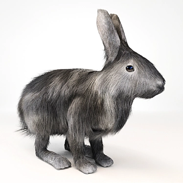 Fluffy Fur Rabbit 3D model image 1 