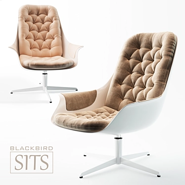 SITS BLACKBIRD Armchair: Sleek and Stylish 3D model image 1 